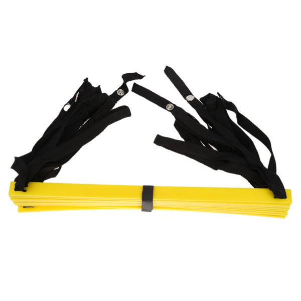 Sturdy Agility Ladder