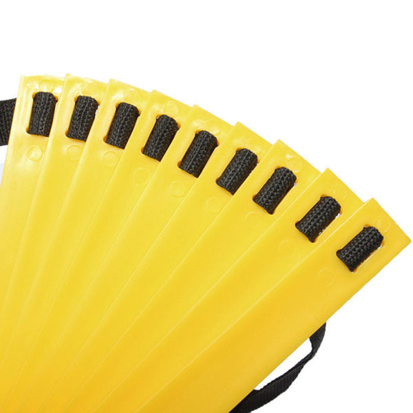 Sturdy Agility Ladder